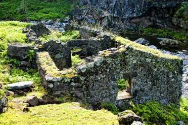 Acores, flores adasında eski değirmen