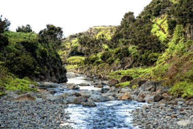 Acores, flores Island creek