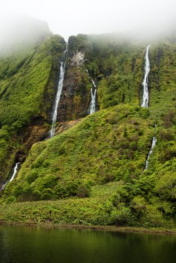 Acores lagoa das patos flores Adası