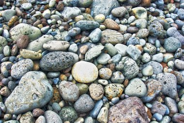 acores adalar üzerinde kayalık plaj