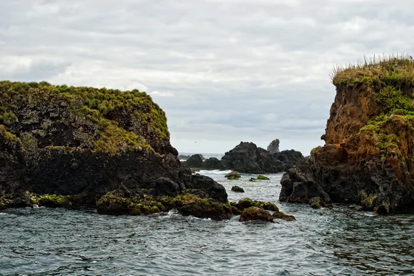 Acores, costa este de la isla de flores —  Fotos de Stock