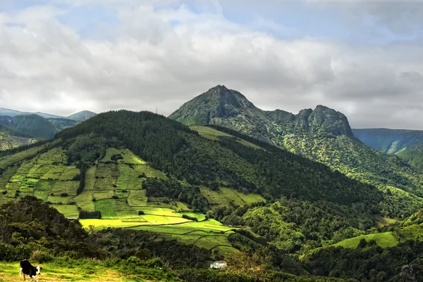 Acores- panorama de la isla de flores, costa este — Foto de Stock