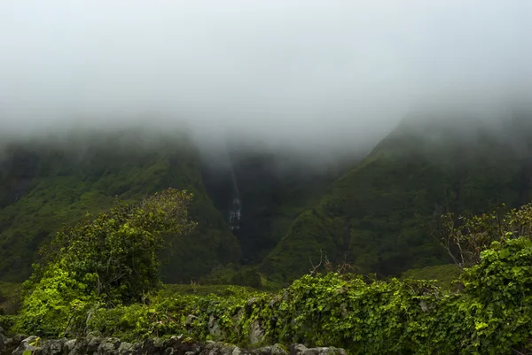 Montagnes nuageuses de flores acores îles — Photo