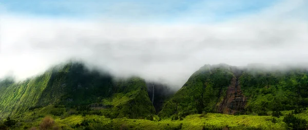 Montanhas nubladas de flores acores ilhas — Fotografia de Stock