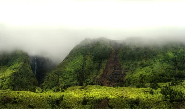 Cloudy mountains of flores acores islands — Stock Photo, Image