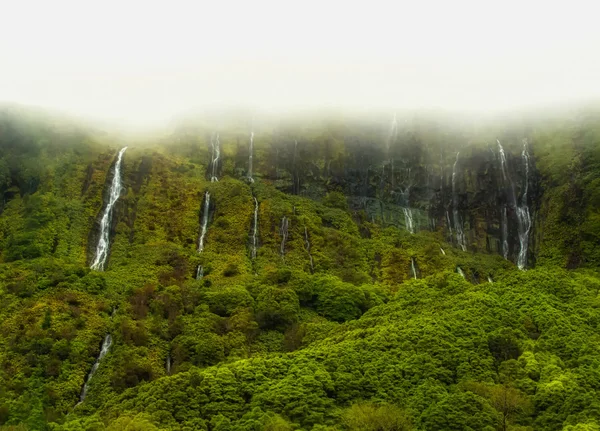 Acores lagoa das patos na ostrově flores — Stock fotografie