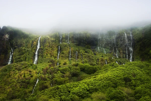 Acores lagoa das patos sull'isola di flores — Foto Stock