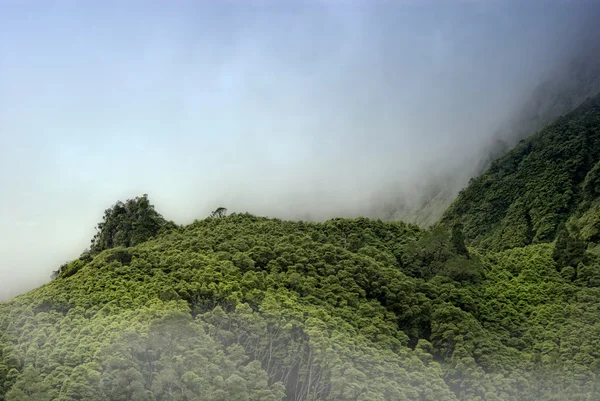 Montagnes nuageuses de flores acores îles — Photo