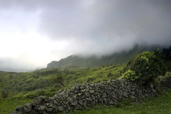 Montanhas nubladas de flores acores ilhas — Fotografia de Stock