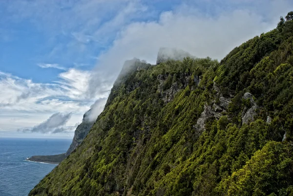 Acores flores cliff hattı bulutlar ile — Stok fotoğraf