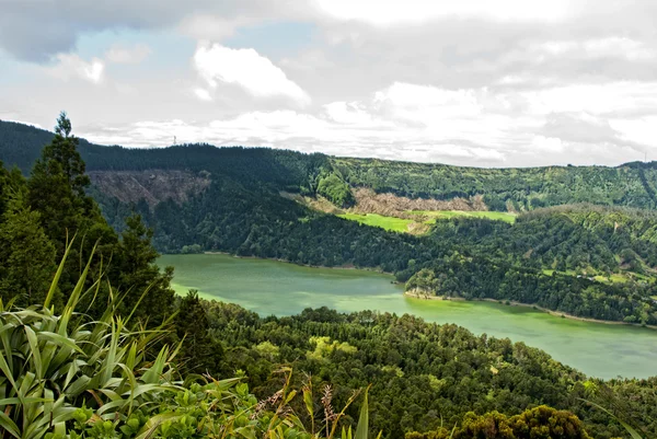 Eikenøtter sao miguel sete cidades green lake – stockfoto