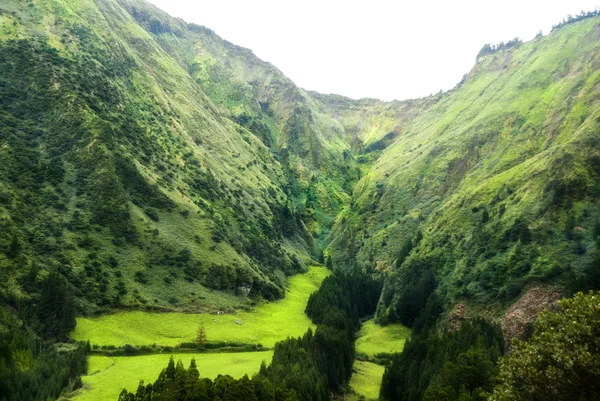 Acores sao miguel sete cidades. — стоковое фото