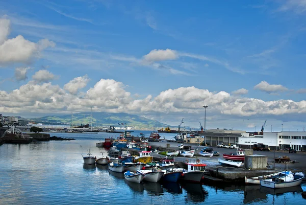 Sao miguel port ponta delgada Royalty Free Stock Fotografie