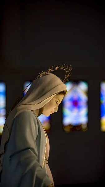 Tihaljina Bosnia Herzegovina August 2016 Statue Virgin Mary — стокове фото