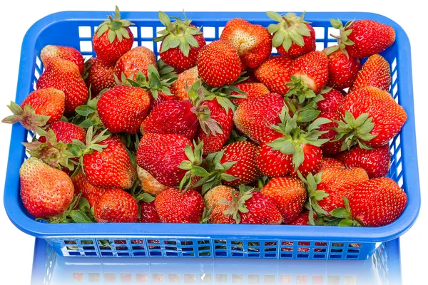 Aardbeien in een blauwe container — Stockfoto