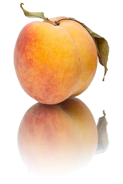 Peach with reflection — Stock Photo, Image