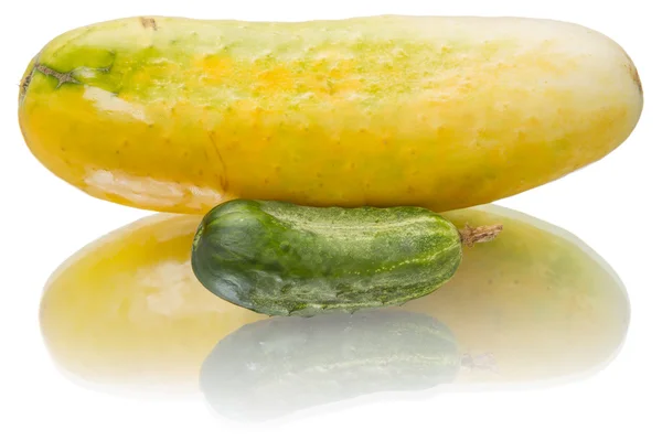 Pepino amarelo e verde — Fotografia de Stock