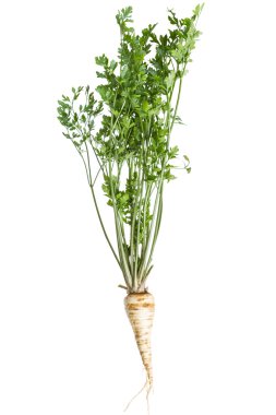 beyaz üzerine maydanoz