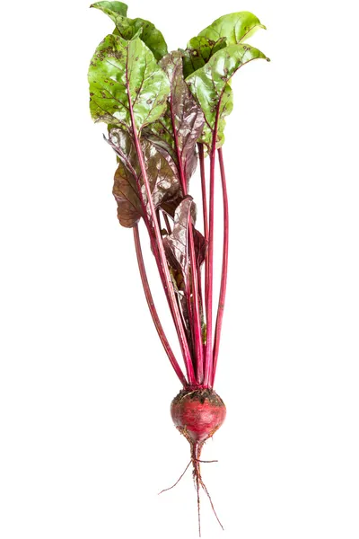 Beetroot on white — Stock Photo, Image