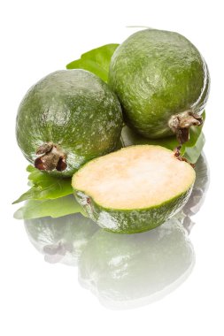 Yeşil feijoa