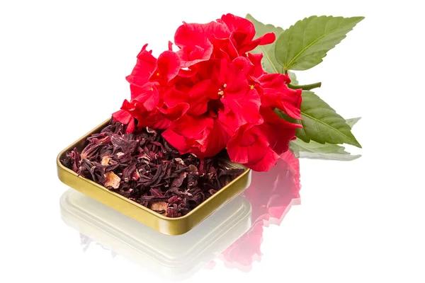 Flor vermelha e chá de hibisco — Fotografia de Stock