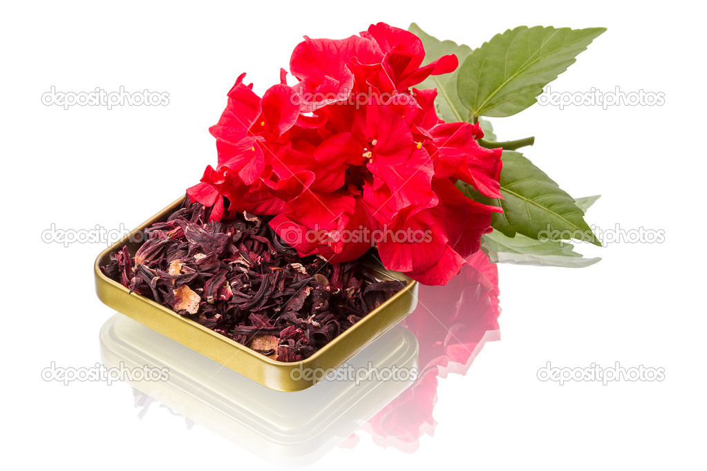 Flor roja y té de hibisco — Fotos de Stock © ra3rn_ #14729469