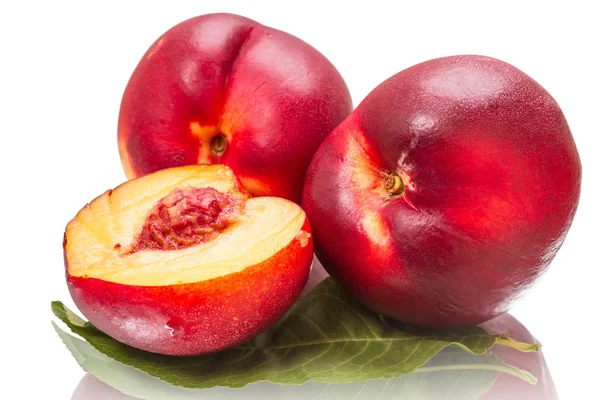 Three nectarines — Stock Photo, Image