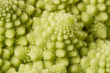 Romanesco brokoli yakın çekim