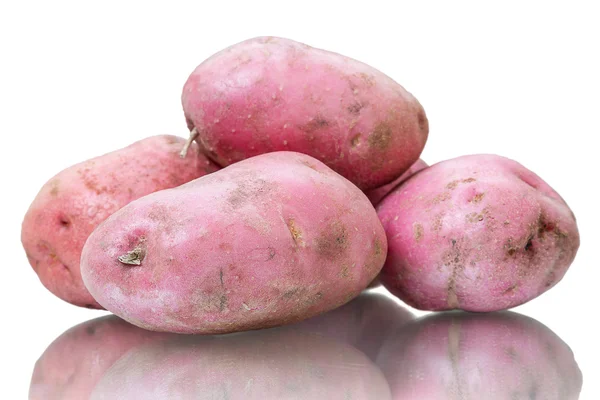 Zwiebelkartoffeln auf weiß — Stockfoto
