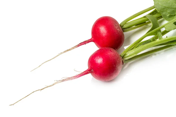 Two radishes — Stock Photo, Image