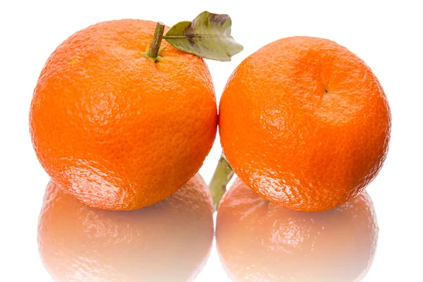 Two tangerines on white — Stock Photo, Image