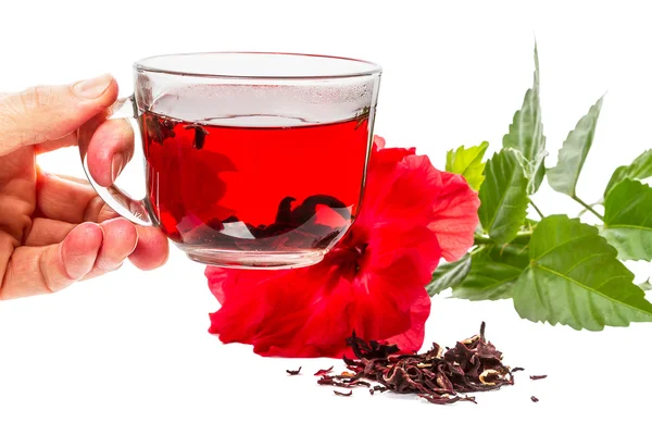 Šálek horkého čaje hibiscus — Stock fotografie