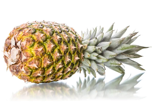 Pineapple on the side with reflection — Stock Photo, Image