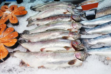 süpermarketlerde tezgahın üzerine buz üstünde balık