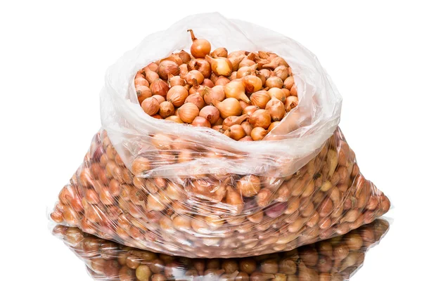 Onion seeds in a plastic bag — Stock Photo, Image