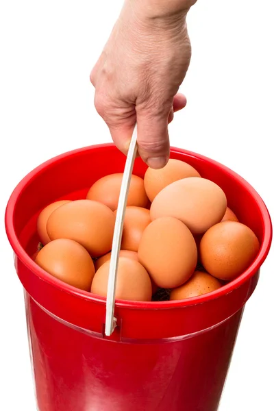 Bucket with eggs — Stock Photo, Image