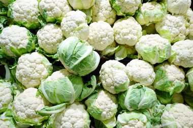 kutulara taze karnabahar