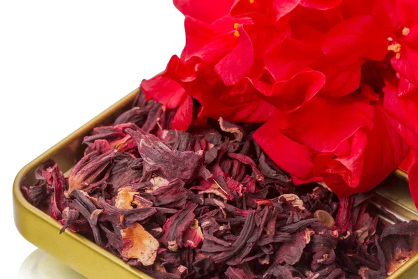 Dry hibiscus tea and flower — Stock Photo, Image