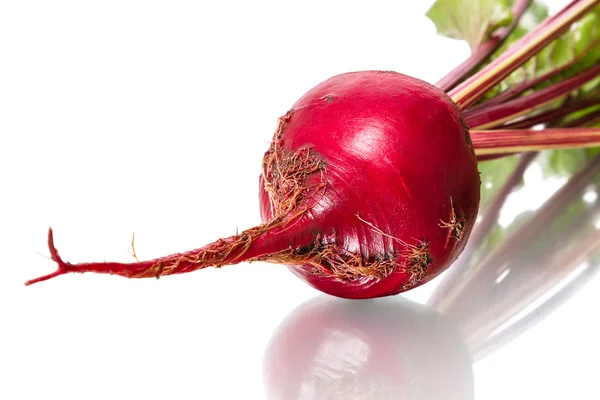 红甜菜根 — 图库照片