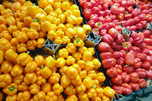 Sfondo di peperoni arancioni e rossi — Foto Stock