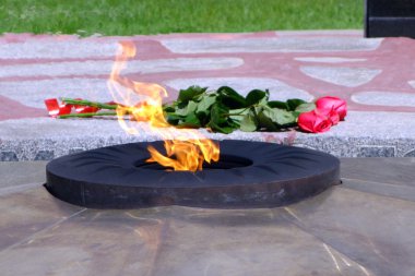 eternal flame çiçeklere