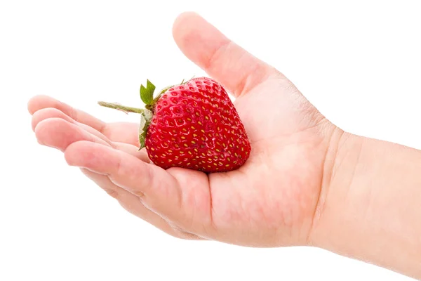 Fresas en la mano de un niño — Foto de Stock