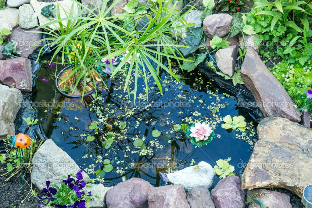 Ornamental pond in the garden — Stock Photo © ra3rn_ 28426957