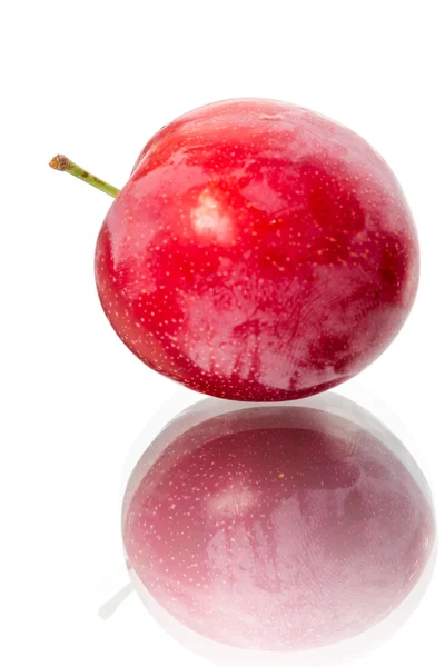 One red plum — Stock Photo, Image