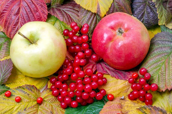 Manzanas y arándanos — Foto de Stock