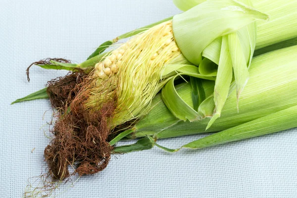 Kukuřice na klacku — Stock fotografie