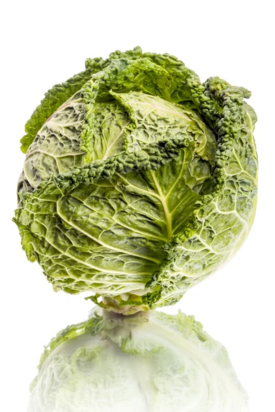 Savoy cabbage — Stock Photo, Image