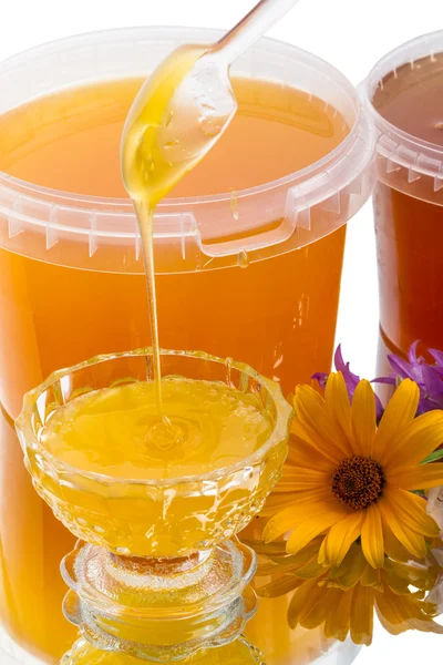 Flower honey — Stock Photo, Image