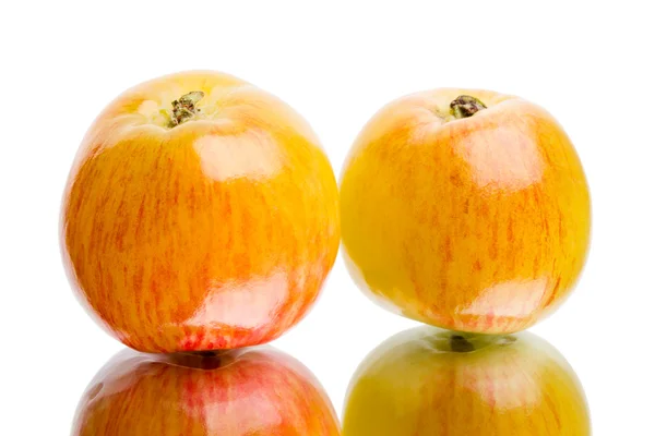Dva šťavnatá jablka — Stock fotografie