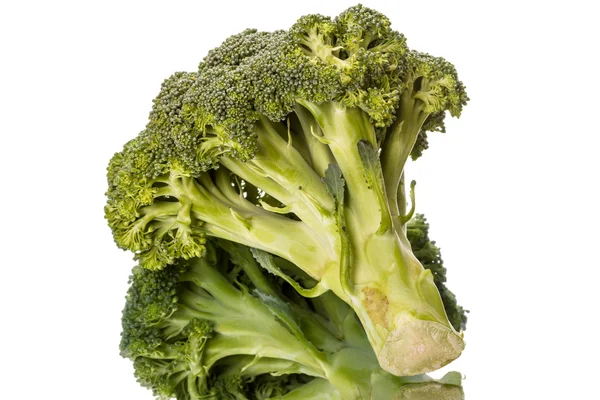 Broccoli su bianco — Foto Stock